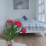 Seerose *